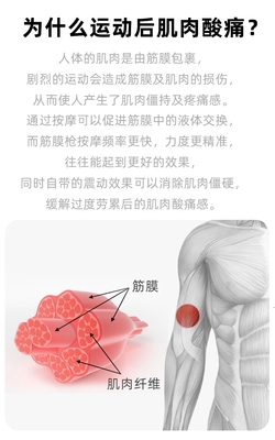 深度评测 菠萝君U1筋膜枪——你的随身放松专家
